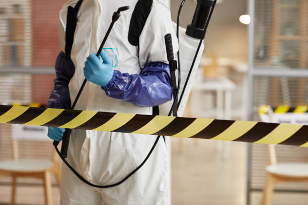 Professional Sewage Cleanup technician working in Dixon, IL